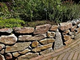 Sie buddeln, wühlen und fressen das liebevoll angelegte beet skrupellos weg. Kaninchen Aus Dem Garten Vertreiben Nachgeharkt