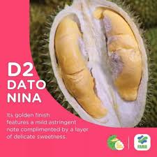 Di malaysia terdapat jenis durian yang harganya bisa dibilang fantastis, bahkan harga per kilonya mencapai rp2,6 juta. Ada 200 Jenis Durian Di Malaysia Durian Mana Yang Dah Pernah Rasa Libur