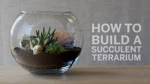 The construction of these can be as simple or as complex as you choose. How To Build A Succulent Terrarium Youtube
