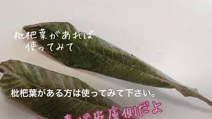 わんこだって こんにゃく湿布 人も犬も猫も 自然療法 ロンさんの 健康管理手帳