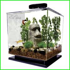 We did not find results for: 10 Gambar Aquarium Ikan Cupang Unik Minimalis Baik Untuk Hias Dan Petarung Dunia Fauna Hewan Binatang Tumbuhan Aquarium Ikan Desain Akuarium Tank Betta