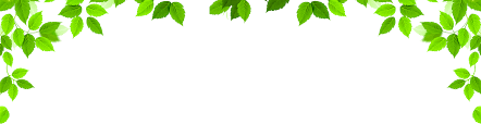 Vines Clipart Jungle Vines Jungle Transparent Free For Download On Webstockreview 2021 Are you searching for jungle leaf png images or vector? vines clipart jungle vines jungle