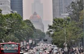 Los vehículos que porten el holograma e, 00 y 0, así como transportes de emergencia, seguridad pública, bomberos, rescate, protección civil. Xx Qnflz39iyqm