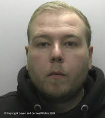 Man sentenced for child sex offences in Sussex and Devon. Jack Nepean  sexually assaulted a seven-year-old girl left in his care in Crawley