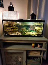 With that said, it is time for us to take a look at how to build a turtle basking area. Turtle Tank Basking Area