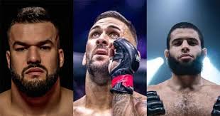 Los españoles más cerca de la UFC