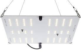 The sansi 36 watt full spectrum led bulb is the smallest light on this list and the smallest grow light you can get period, at least among the ones that are any good. Top 25 Best Led Grow Lights 2021 Mold Resistant Strains
