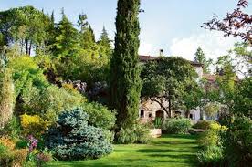 Un Jardin Du Sud Jardin Du Sud Jardins Decoration Jardin