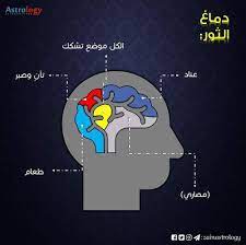 مناطق الدماغ عند برج الثور من صفحة astrology الابراج تجاهلها في حالة كنت لا تصدق بها للتسلية في حالة anime eye drawing funny arabic quotes anime eyes