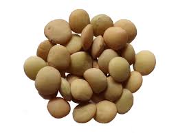 Image result for Lens culinaris