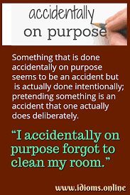 The lock prevents the gate from opening accidentally. Accidentally On Purpose Idioms Online