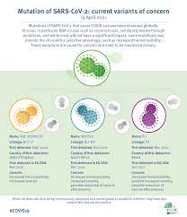 New covid variant detected in south africa has already been found in england as scientists warn it is the 'most mutated variant so far' c.1.2 strain linked with 'increased transmissibility' and. Infographic Mutation Of Sars Cov 2 Current Variants Of Concern