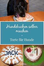 Geburtstagskuchen für hunde katzen kuchen 3d kuchen hunde kuchen torten deko fondant torten backen fuchs kuchen fondant tiere. Hundekuchen Selber Machen Torte Fur Hunde Jack Auf Reisen Hunde Kuchen Hundekuchen Kuchen Fur Hunde