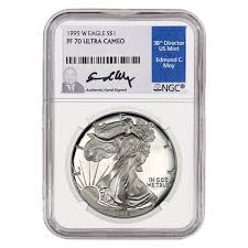 Image result for Silver Grey 1995 AAV