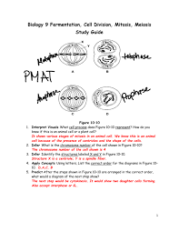 Maybe you would like to learn more about one of these? Check Your Answers To The Study Guide In Word Here Biology