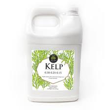 Age Old Organics Kelp 1 Gallon