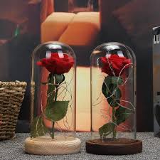 Eternal Rose Lamp