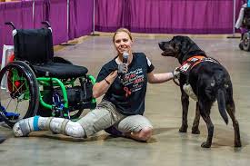 How to get an emotional support dog. Service Dog Emotional Support Dog Companion Animal Therapy
