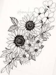Softwood cuttings, the fastest and easiest to root, are taken in late spring and early summer, when flexible new stems are just beginning to mature. Drawing Of Rose And Sunflower Novocom Top