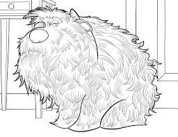 Supercoloring.com is a super fun for all ages: The Secret Life Of Pets Coloring Pages Best Coloring Pages For Kids Secret Life Of Pets Life Of Pets Animal Coloring Sheets