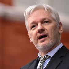 Kalie Aaron Shay (@consciousmovienights) • Instagram photos and videos