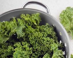 Image of Kale