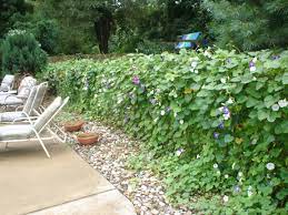 Pin On Accessorize Outdoor Space