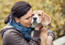 As you consider home euthanasia for your pet, you don't need to feel alone. In Home Pet Euthanasia Colorado Springs End Of Life Pet Care