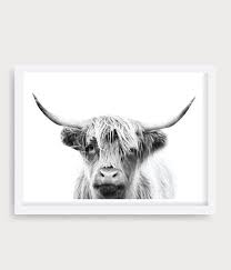 Black And White Cow Framed Pictures Highland Cow Wall Art Black And White Cow Print Cattle Photography Cow Prints Cow Printable Animal Portrait Printable Cow Bull Prints Cow Wall Art Cow Print Highland Cow