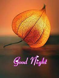 Pin By Chithra Lal Kk On Good Night Good Night Image Good Night Messages Night Messages