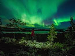 Different Traffic Rules In The Nature The Green Light Means Stop Lapland Finland Northern Lights See The Northern Lights Northern Lights Photography