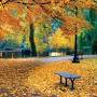Profile Picture of Autumn | Definition, Characteristics, & Facts - Britannicaon Google