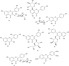 Image result for Bersama swynnertonii