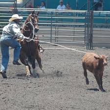How To Make Calf Roping Dummies Calf Roping Dummy Roping Dummy Calf Roping
