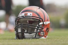 Cincy Jungle Landon Johnson Cincinnati Bengals Player