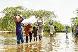 Poverty Alleviation