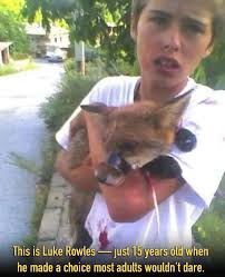 Teenager saves fox from abuse and nurses it back to health
