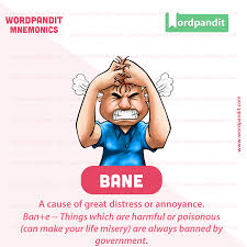 Mnemonic Bane Sentence Example 1 Since Loneliness Can Be The Bane Of Old Age It S Important In 2020 Sentence Examples English Vocabulary Words English Vocabulary
