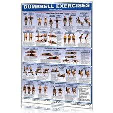 Dumbbell Workouts For Back And Shoulders Workout Routines