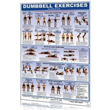 dumbbell workouts for back and shoulders workout routines