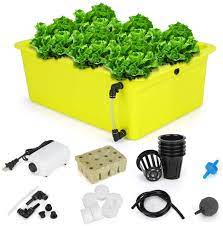 Buy Growneer 6 Sites Hydroponics Grower Kit Household Dwc Hydroponic System Growing Kits With Air Pump And Hydroponics Tools For Vegetables Flowers Online In Vietnam B0852z7fvk