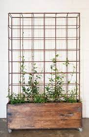 need a room divider create a plant wall separator by using crates frames or window box trellises on wheels plants garden design vertical garden