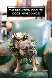 It helps when you have an epic sunset, too. 15 Times Dogs In Weddings Stole The Show Green Wedding Shoes