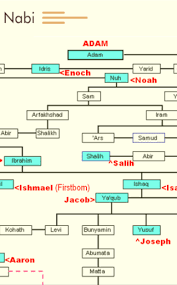 (inggris) prophet family tree, from adam to muhammad. Updated Jejak Nabi Islam Pc Android App Download 2021