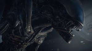 Transformer digital wallpaper, star wars, transformers alien vs predator movie still, alien (movie), movies, xenomorph. Hd Wallpaper Alien Vs Predator Wallpaper Monster Stranger Hunter Xenomorph Wallpaper Flare