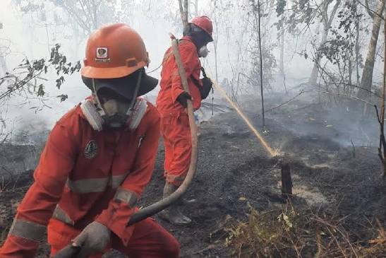 Prabowo Tegas Soal Karhutla, Negara Tidak Tunduk pada Korporasi Nakal