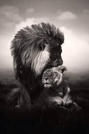 Pin On True Wisdome Ii