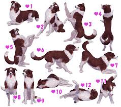 Sims 4 Cc S The Best Dog Pose Large Small Puppy By A Lucky Day Sims 4 Pets Sims Pets Dog Poses