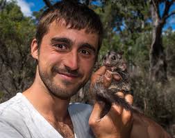 Invasive Predators Deforestation Driving Tasmanian Parrot Over The Edge