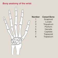 Image result for Hand Exam